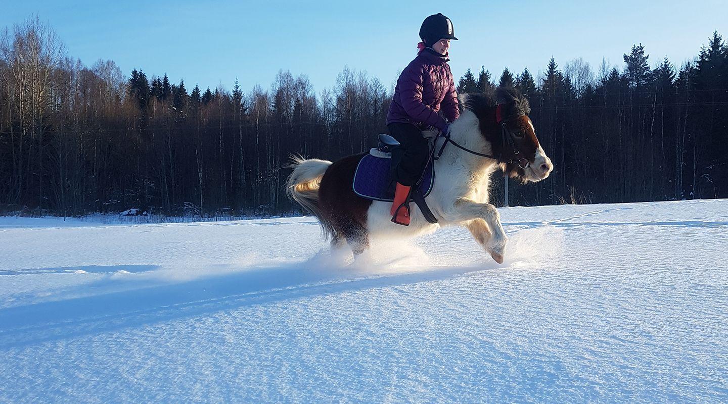 Ratsastustila Tobra Hobused