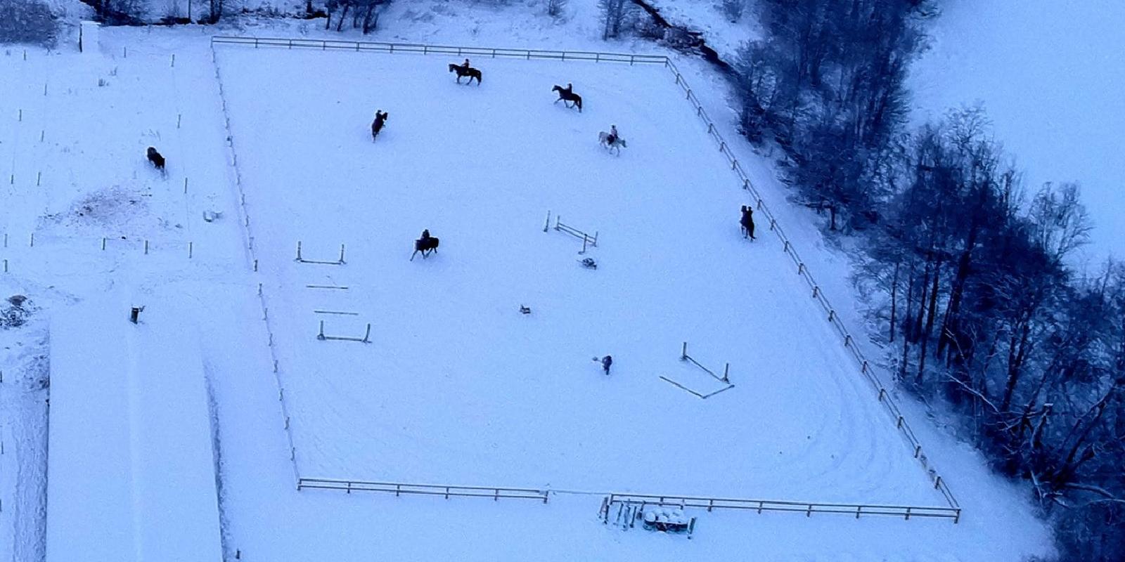 Ratsastustila Tobra Hobused