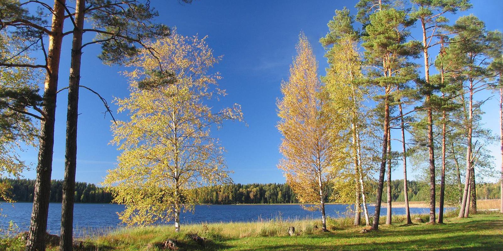 Järvenukka Holiday House