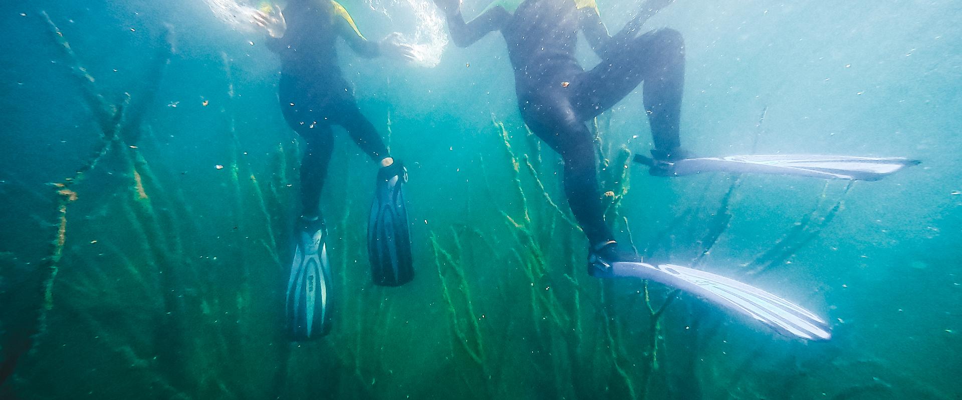 Snorkeling with a Paekalda Holiday Centre raft in Rummu Quarry