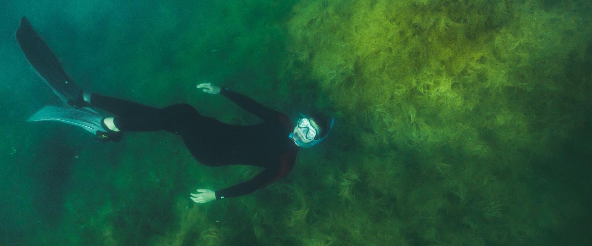 Snorkeling with a Paekalda Holiday Centre raft in Rummu Quarry