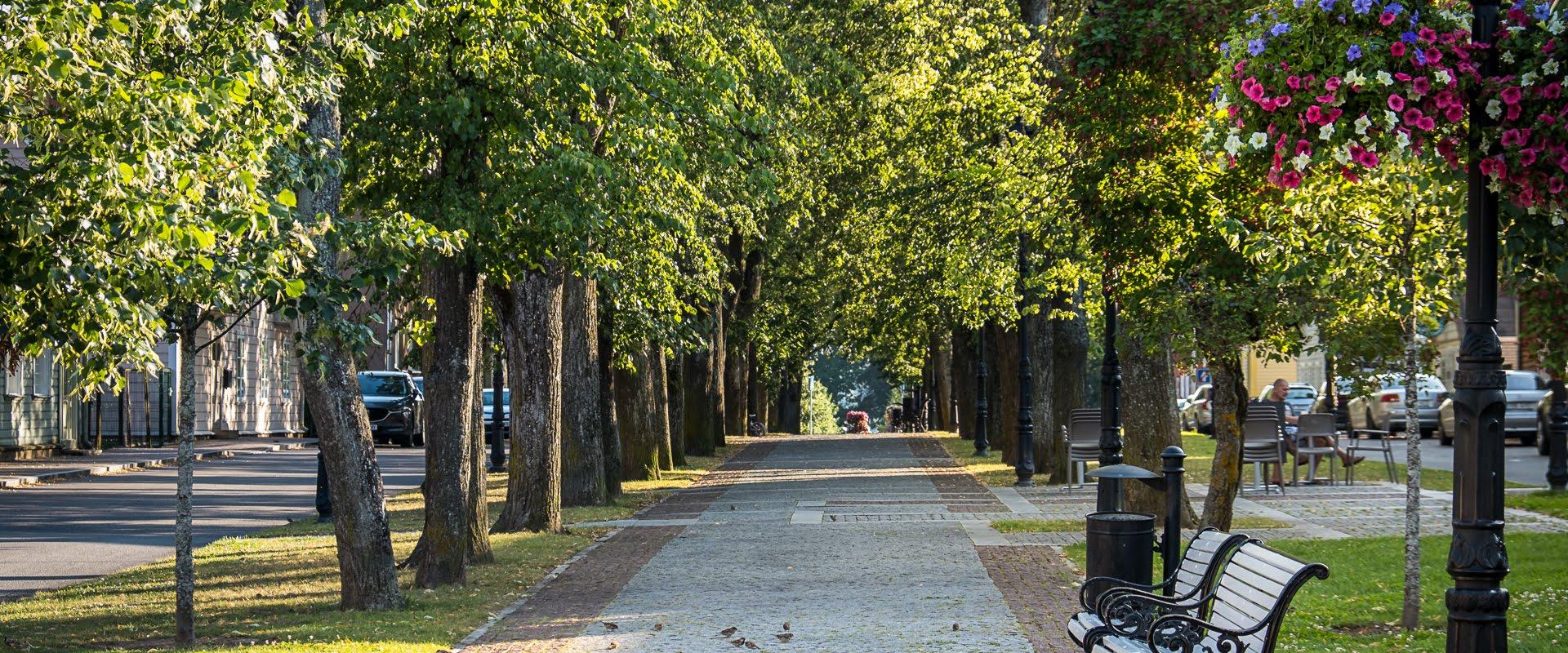 Katariina II skulptuur ja Katariina allee