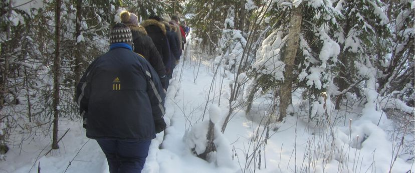 Ulukitarkuse matk metsa koos loodusgiidiga