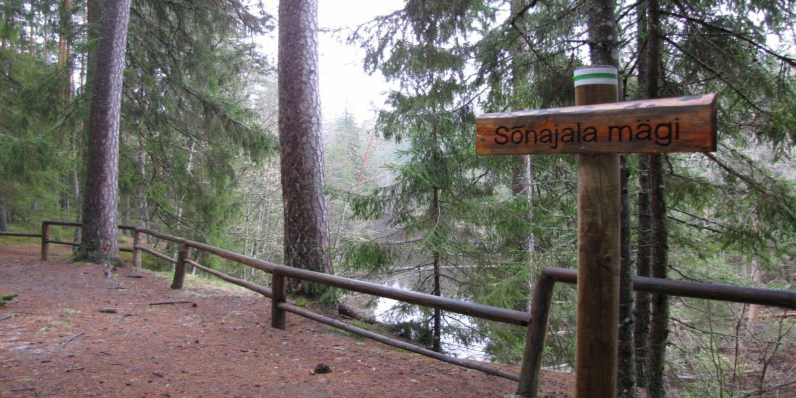 Wanderweg der Staatlichen Forstverwaltung Kiidjärve-Taevaskoja-Kiidjärve