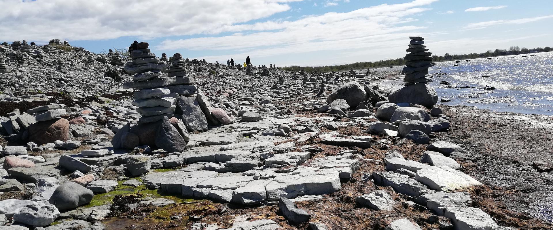 Ohessaare cliff and rock stacks