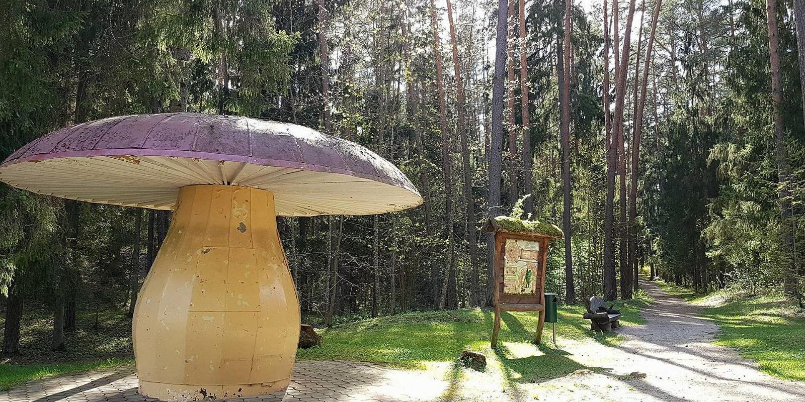 Mushroom Country, a playground in Elva