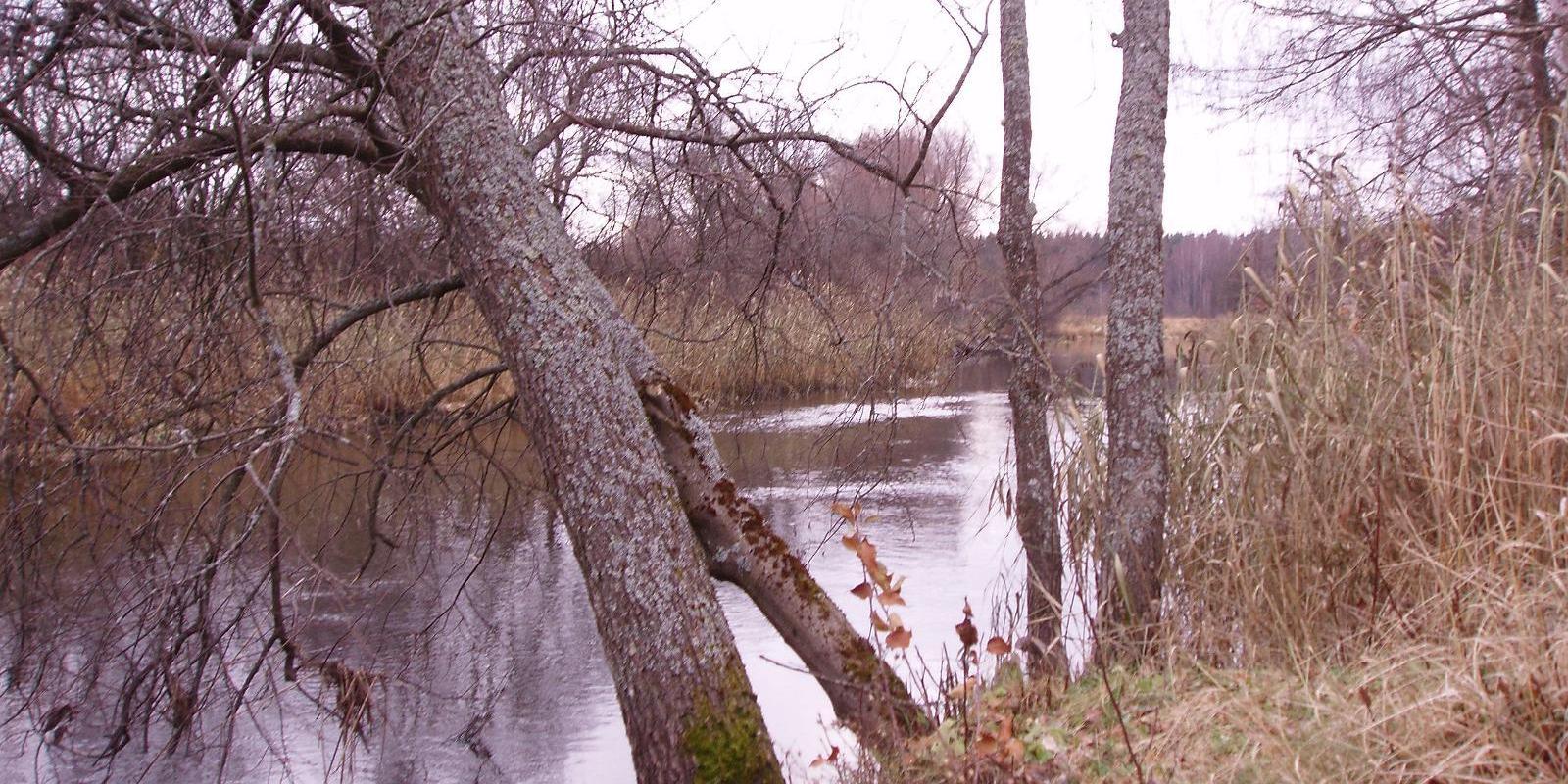 Võhandun lomakeskus