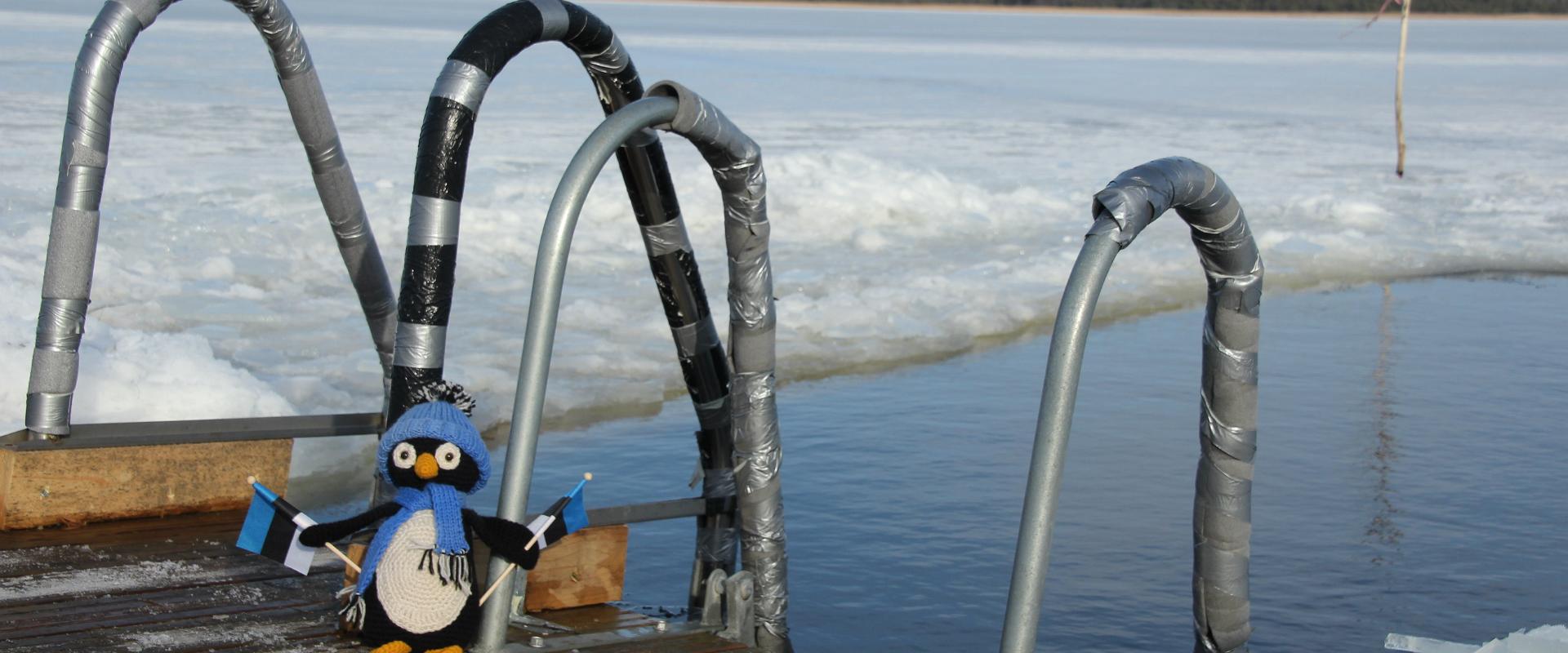 Haapsalu Winter Swimming Centre