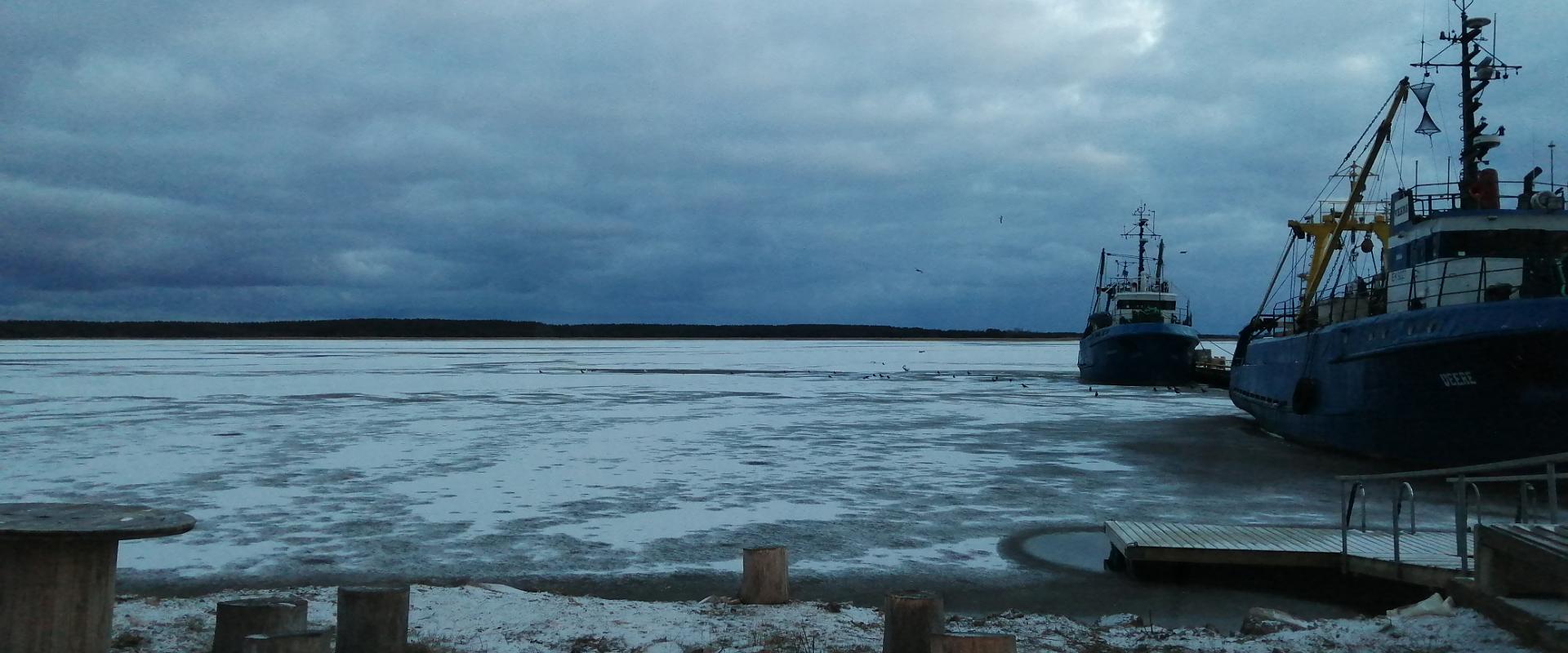 Haapsalu Winter Swimming Centre