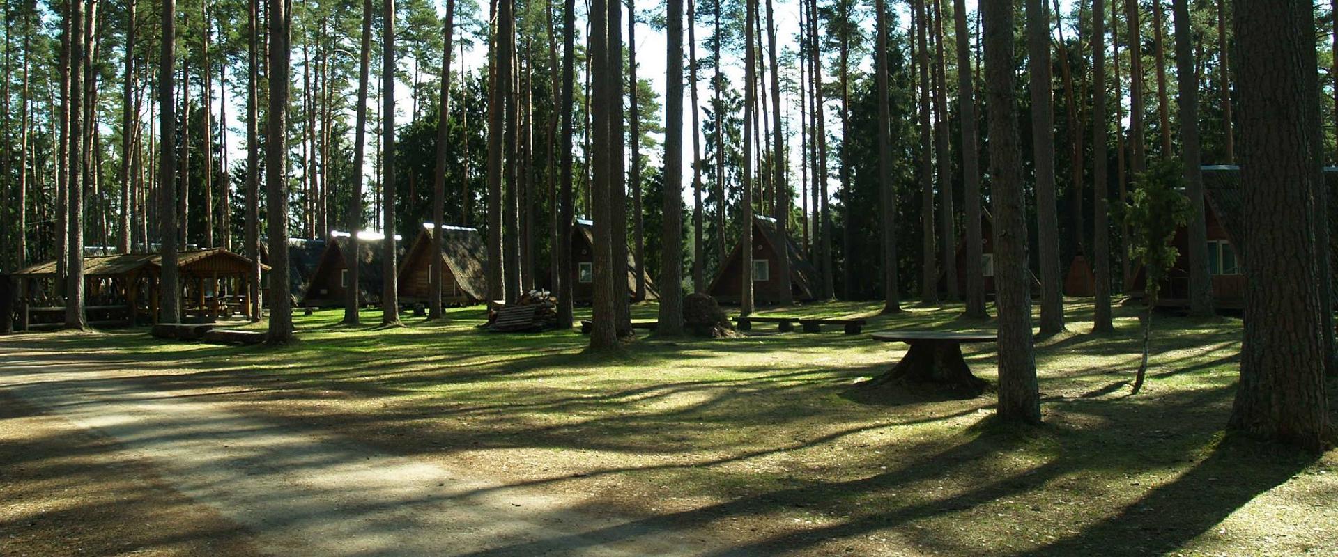 Tartu County Recreational Sports Centre is a holiday complex located 2 km from the city of Elva, in a beautiful natural pine forest. Here, you can pla