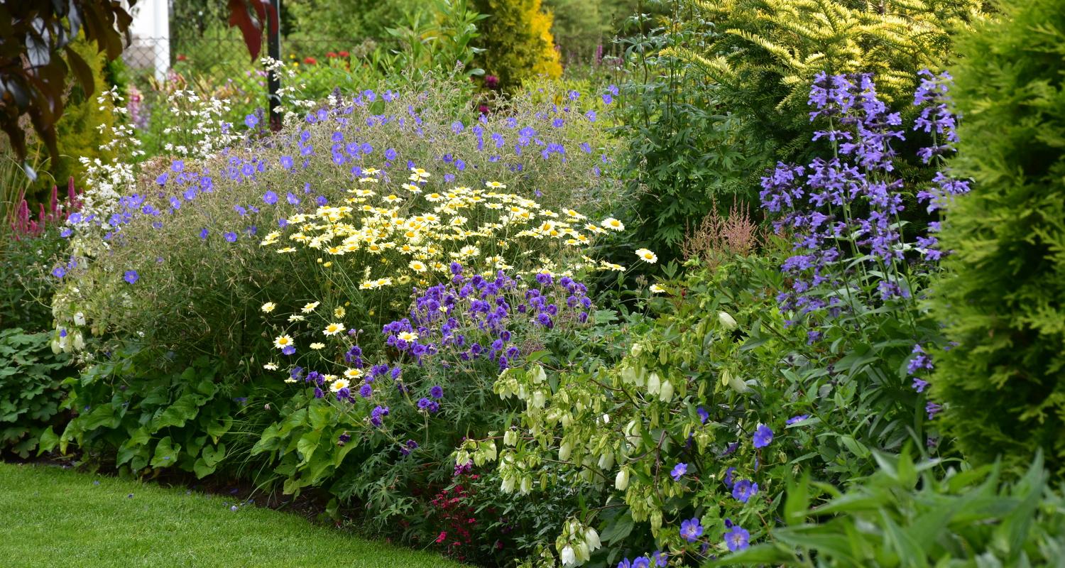 Maie Aed - a colourful home garden near Pärnu