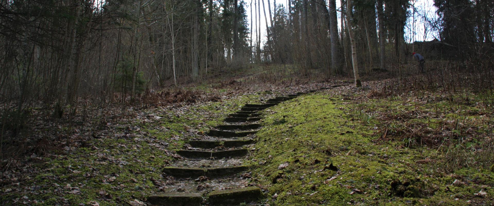 Väike Munamägi (Kleine Eiberg)