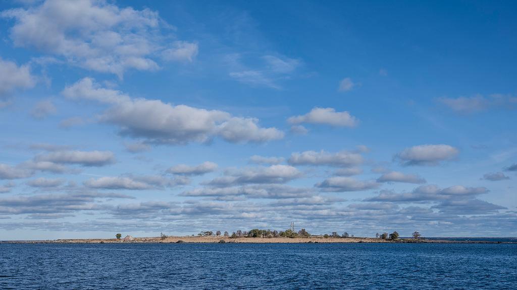 Seal-watching trips in Estonia
