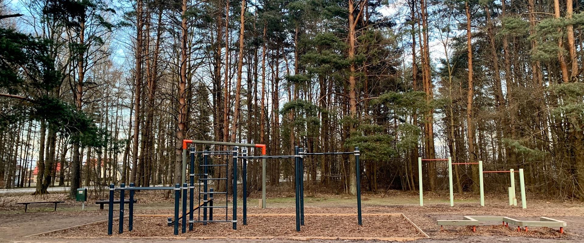 Sanatooriumi parkmetsa spordiväljak