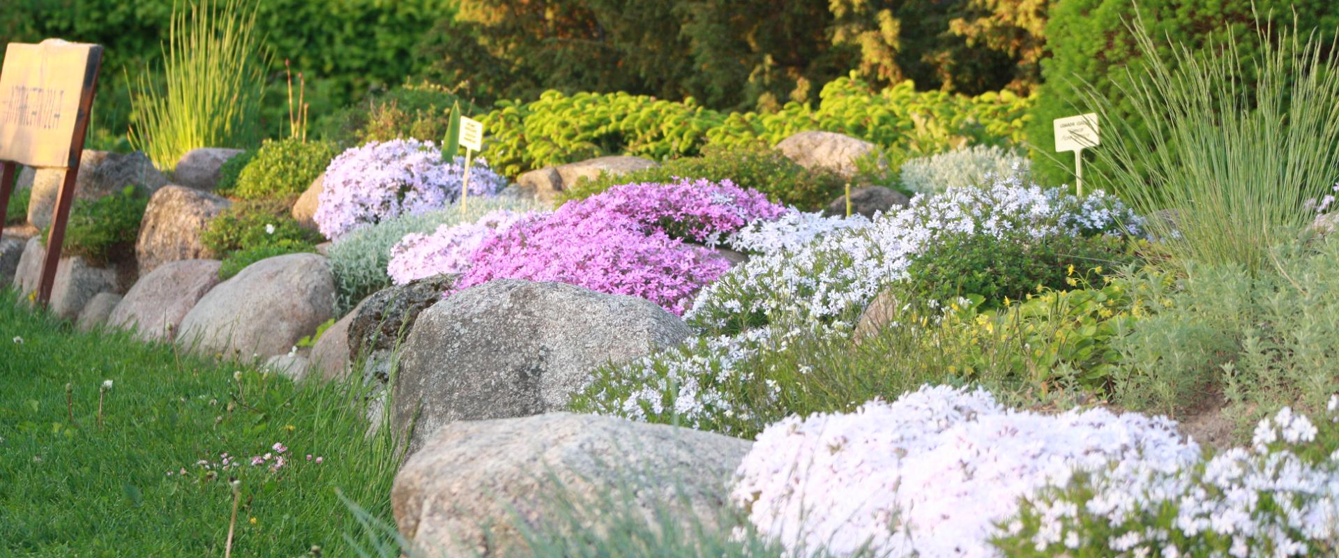 When walking around the Räpina School of Horticulture, you will find an exciting planting area for perennials, and you can enjoy various summer and pe