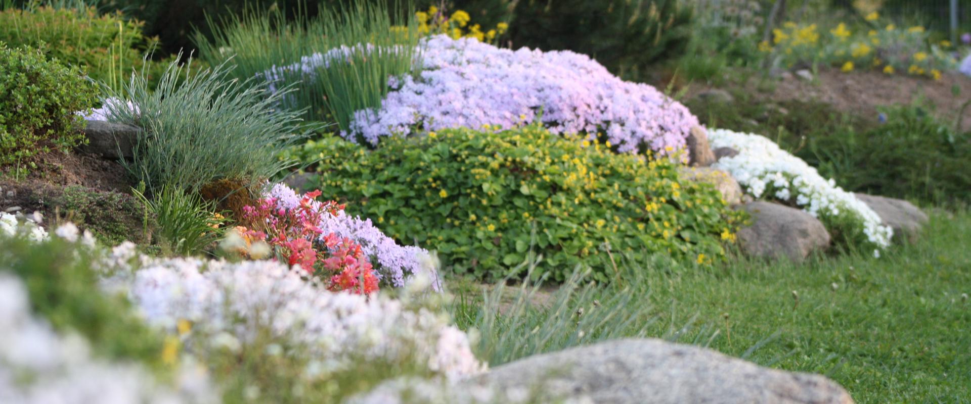 Garten der Sammlungen der Gartenbauschule Räpina