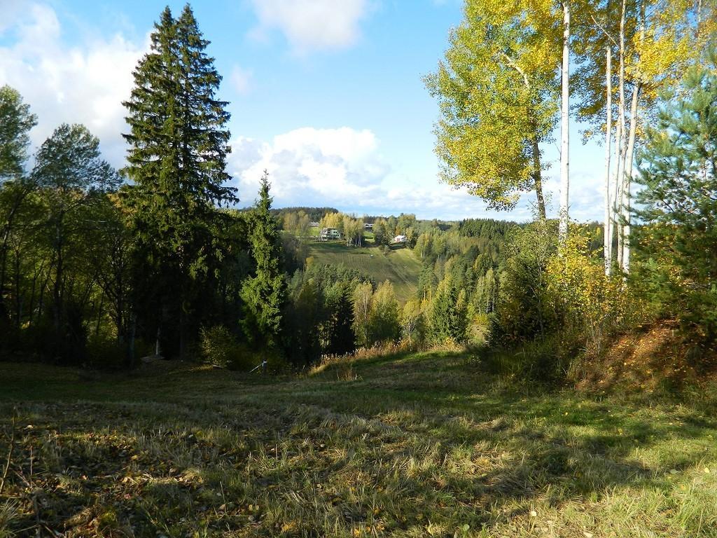 Wanderpfad im Urtal Kütiorg