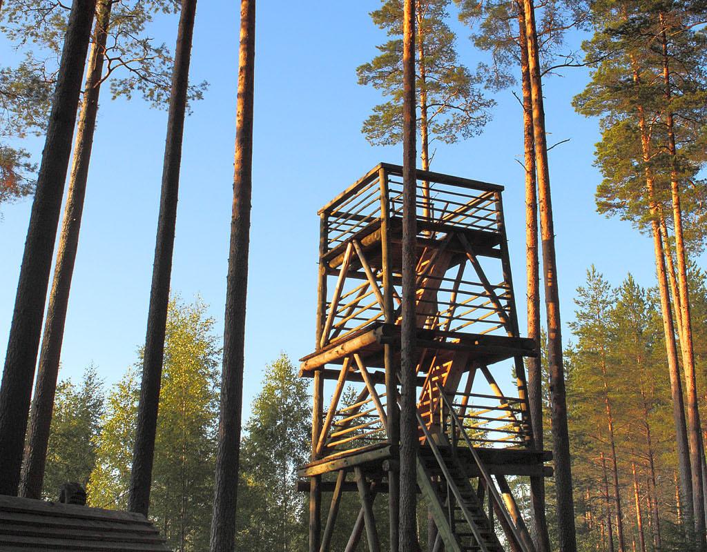 RMK Liipsaare observation tower