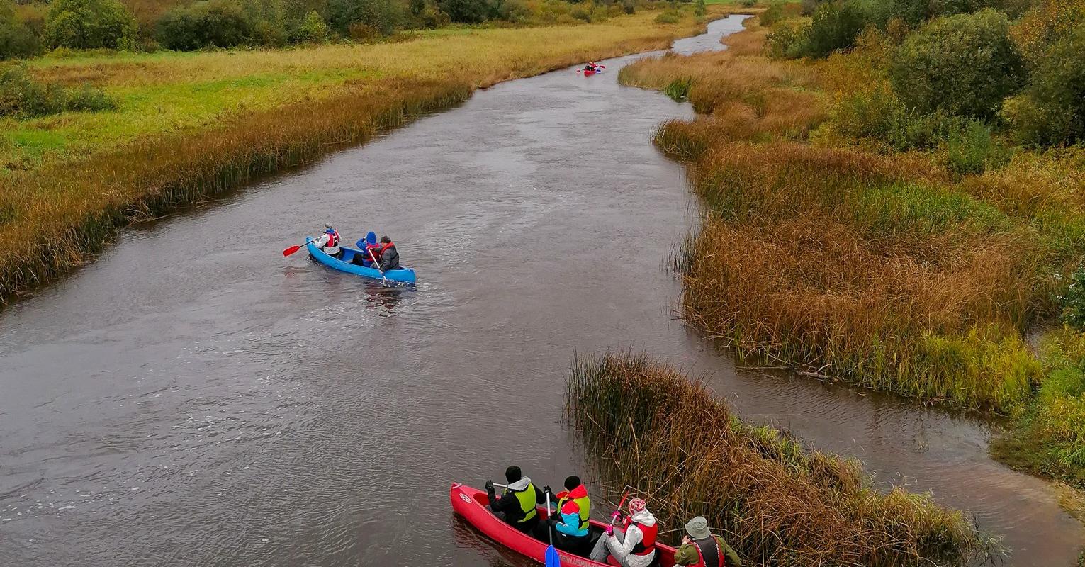 Canoe and kayak trip in Matsalu National Park