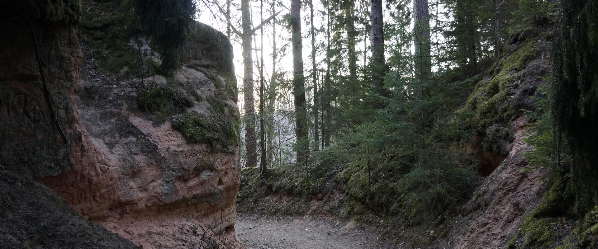 RMK Taevaskoja–Otteni–Taevaskoja hiking trail