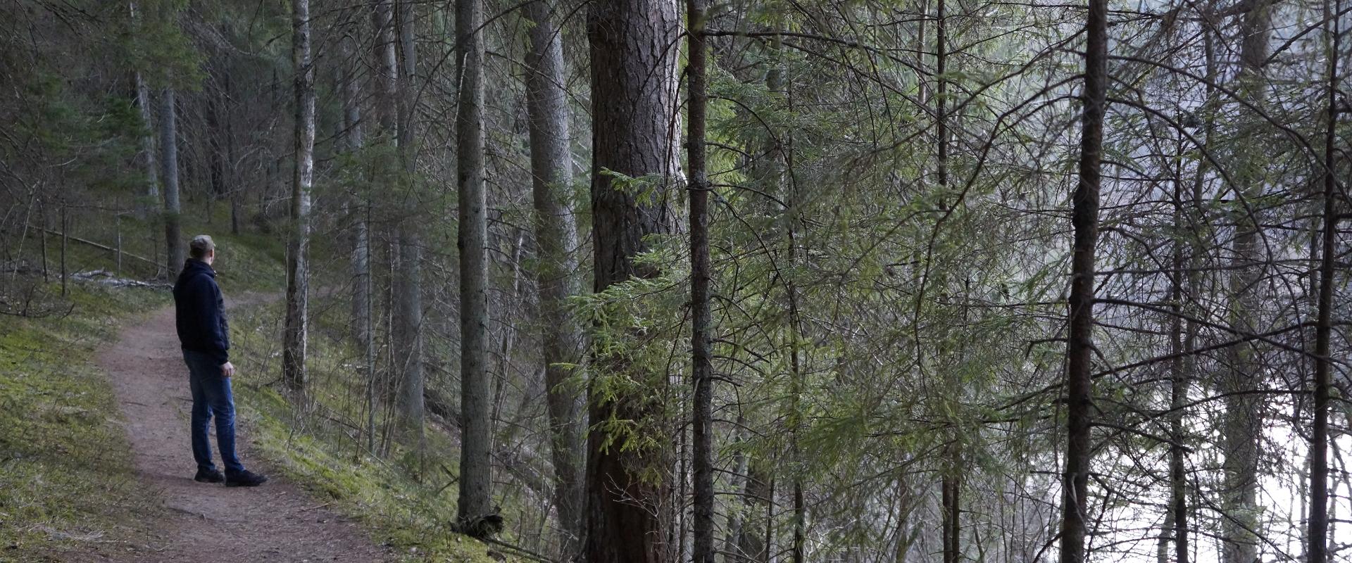 RMK Taevaskoda-Otteni-Taevaskoda pārgājienu taka