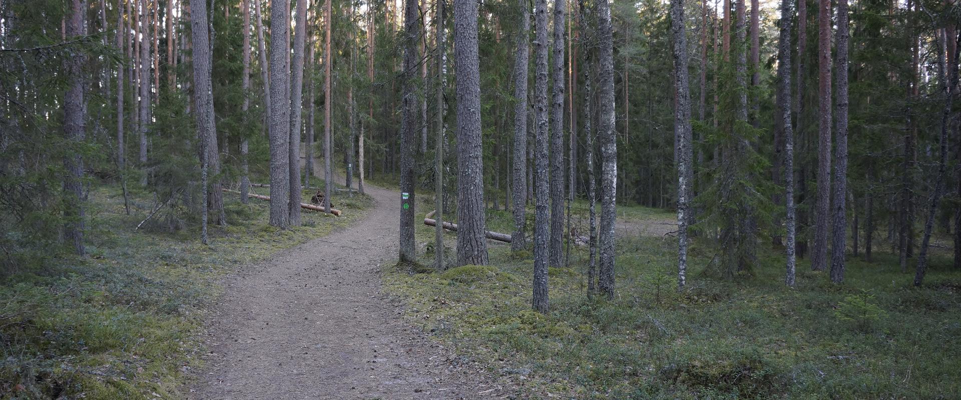 RMK Taevaskoja–Otteni–Taevaskoja hiking trail