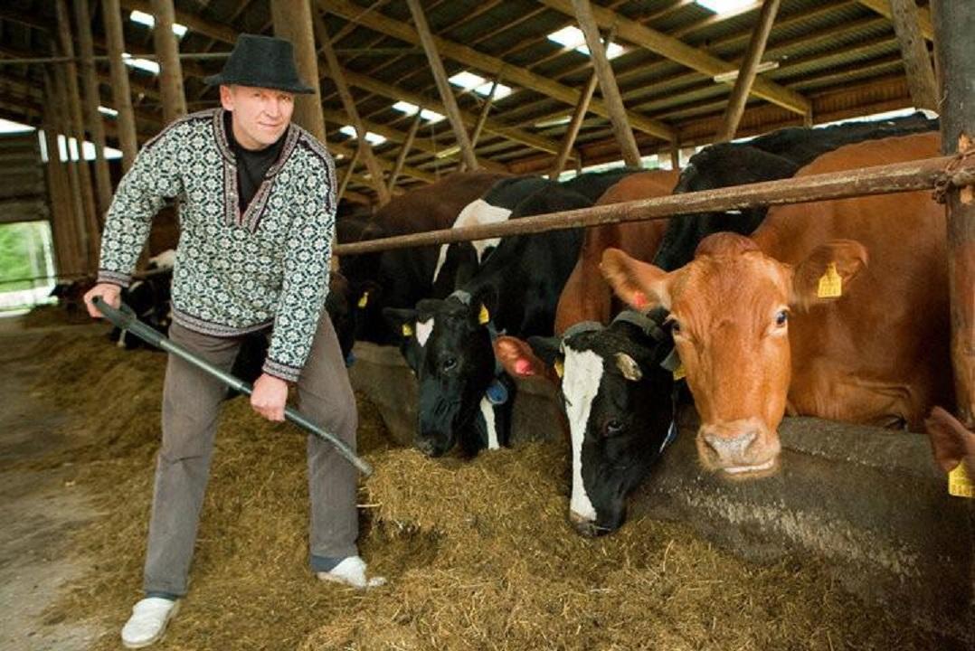 Nopri Dairy Farm