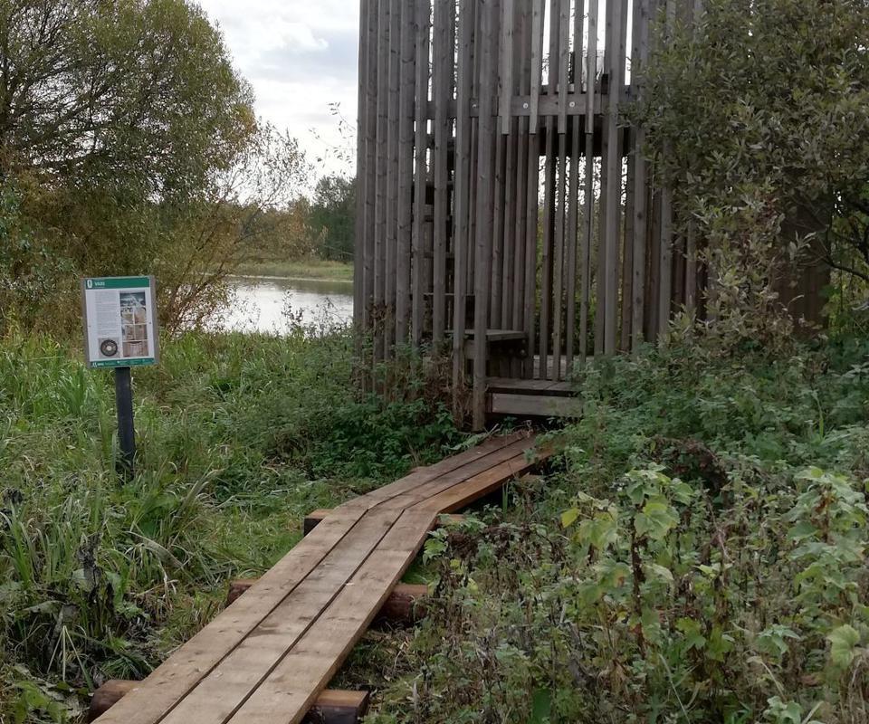 Lehrpfad  am Fluss Emajõgi