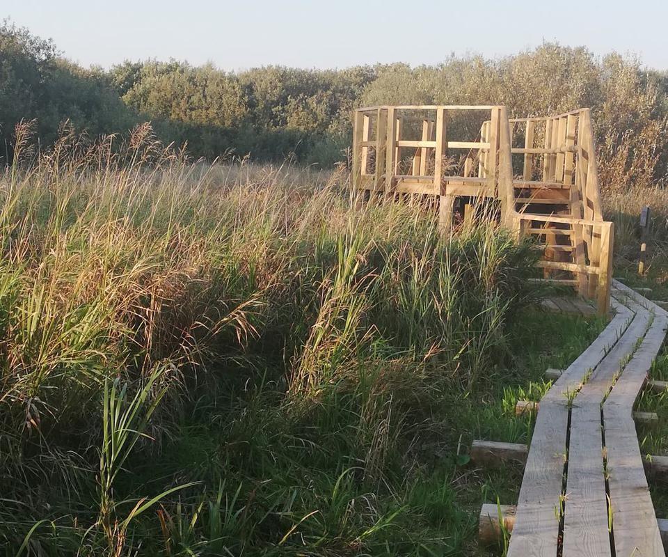 Lehrpfad  am Fluss Emajõgi