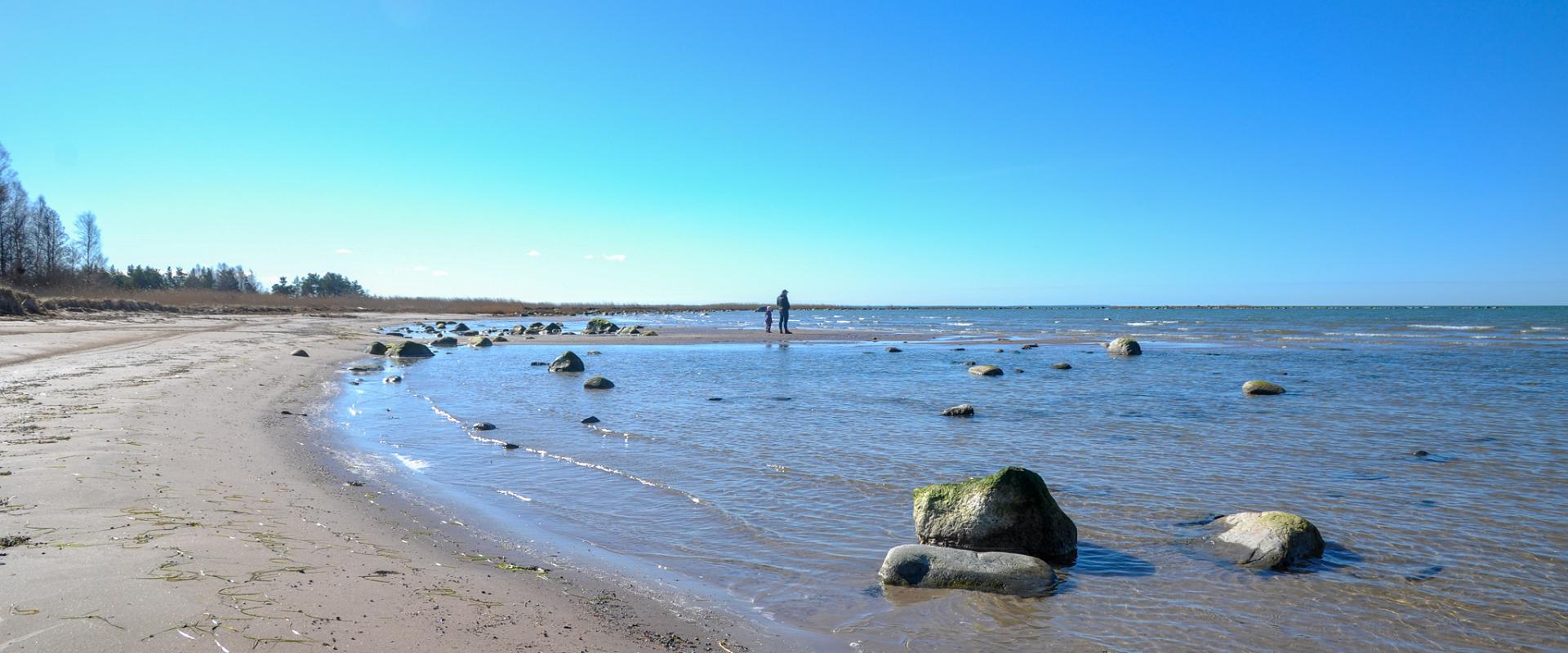 Der Strand Liivalauka