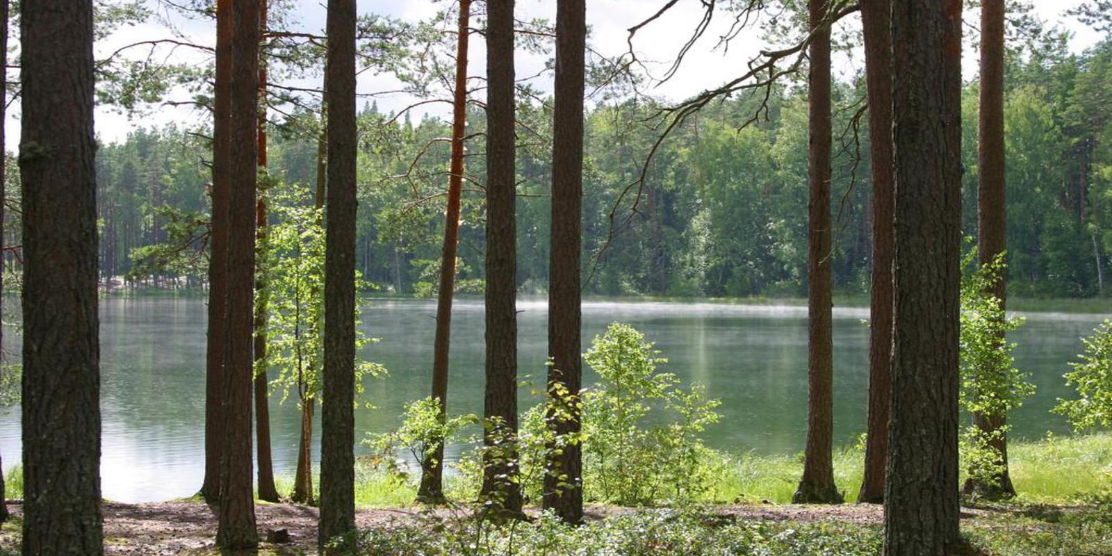 `Nohipalo Valgejärv` lake