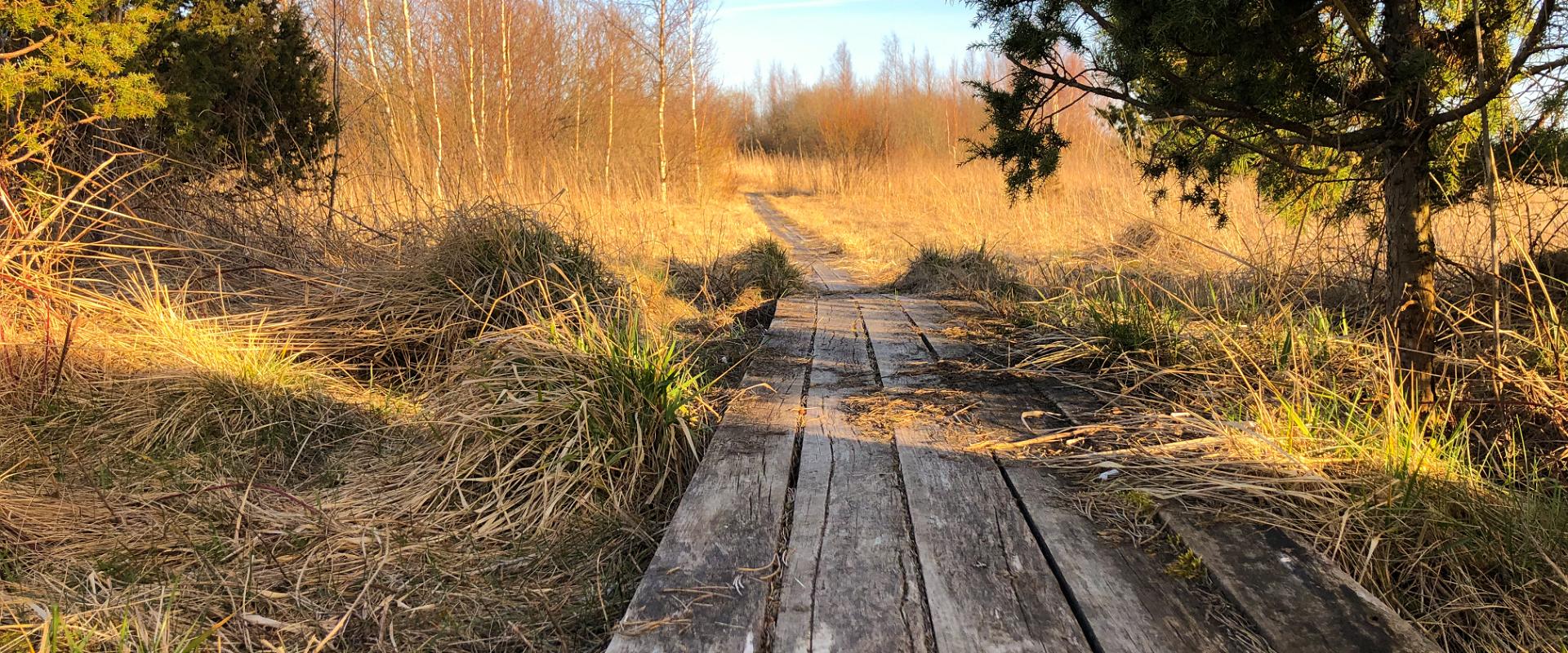 Wanderweg von Lagleranna