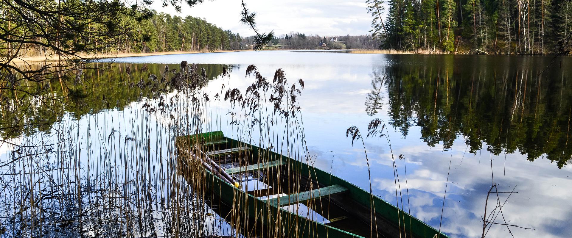 Die Länge des Lehrpfades von Verijärve beträgt ungefähr 1 km, auf dem Pfad gibt es 9 Infotafeln, auf denen Pflanzen, Bäume-Sträucher, Vögel und Tiere 