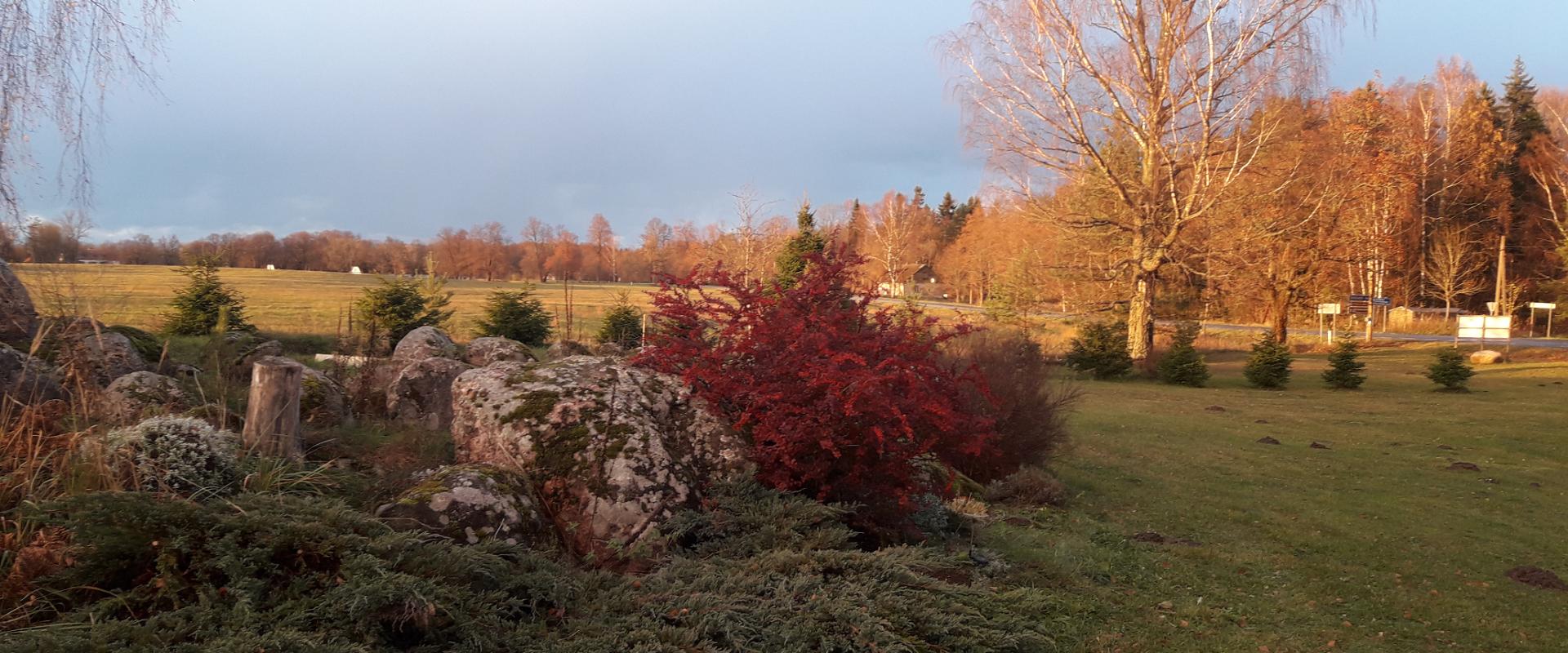 Lahemaa Kohvikann majutus ja karavanpark