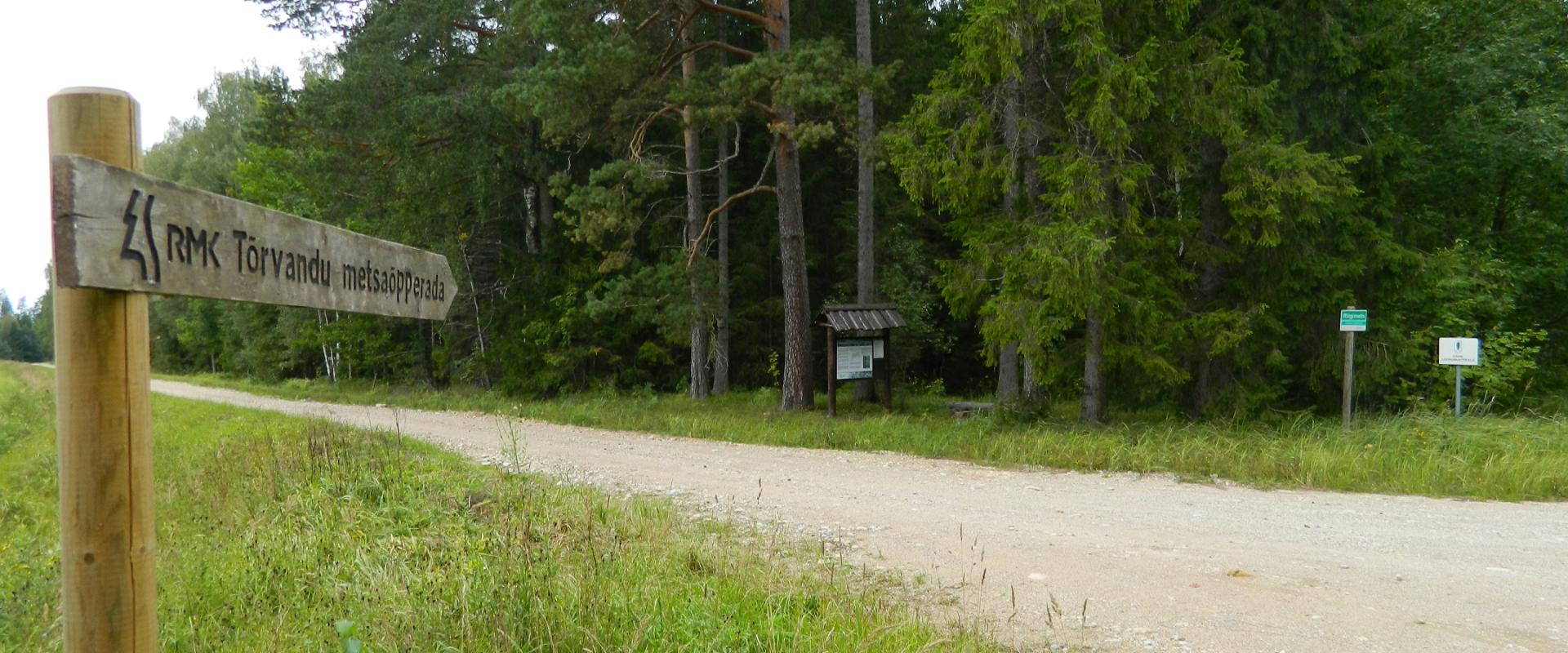 Tõrvandun metsäpolku