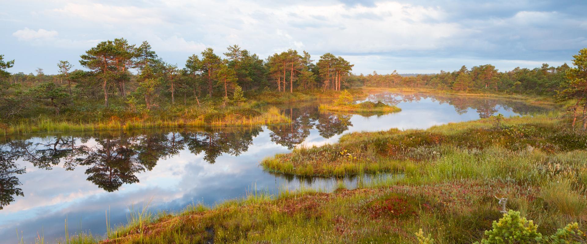 Tagestour Lahemaa Nationalpark – Moorwanderung, Küste, Taiga, Herrenhäuser und Fischerdörfer