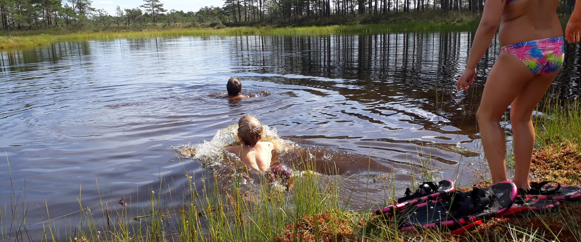 Tagestour Lahemaa Nationalpark – Moorwanderung, Küste, Taiga, Herrenhäuser und Fischerdörfer
