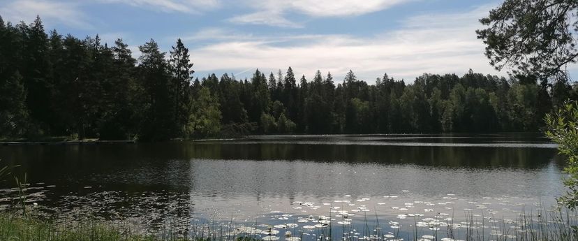 Jäneda Kalijärv
