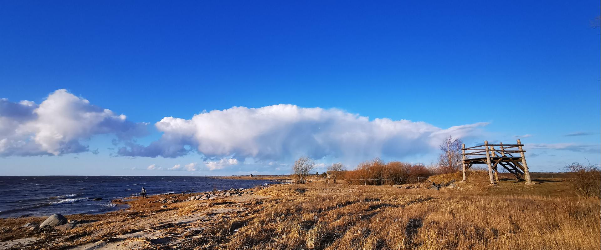 Birdwatching towers near the Pikla ponds