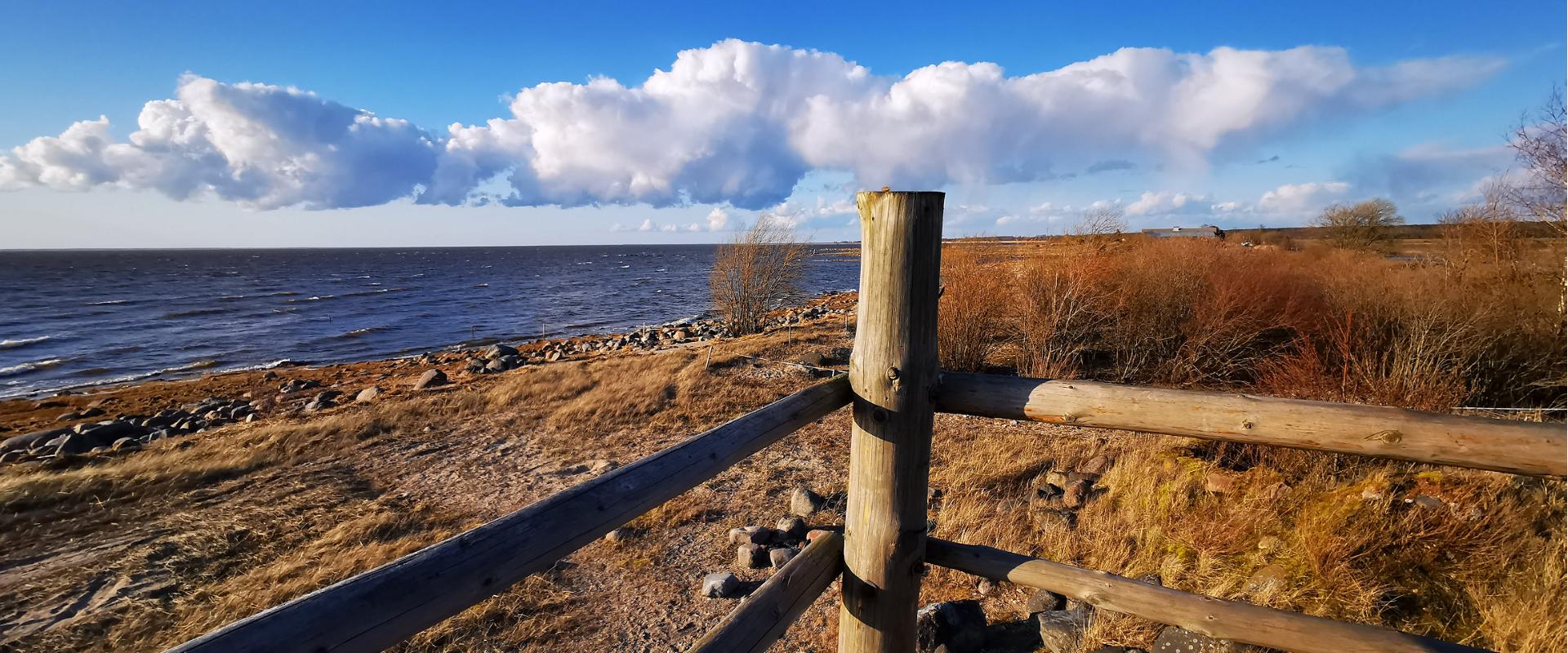 Birdwatching towers near the Pikla ponds