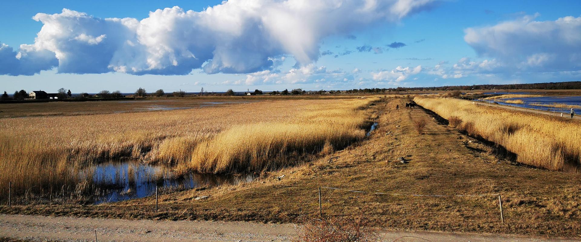 Birdwatching towers near the Pikla ponds