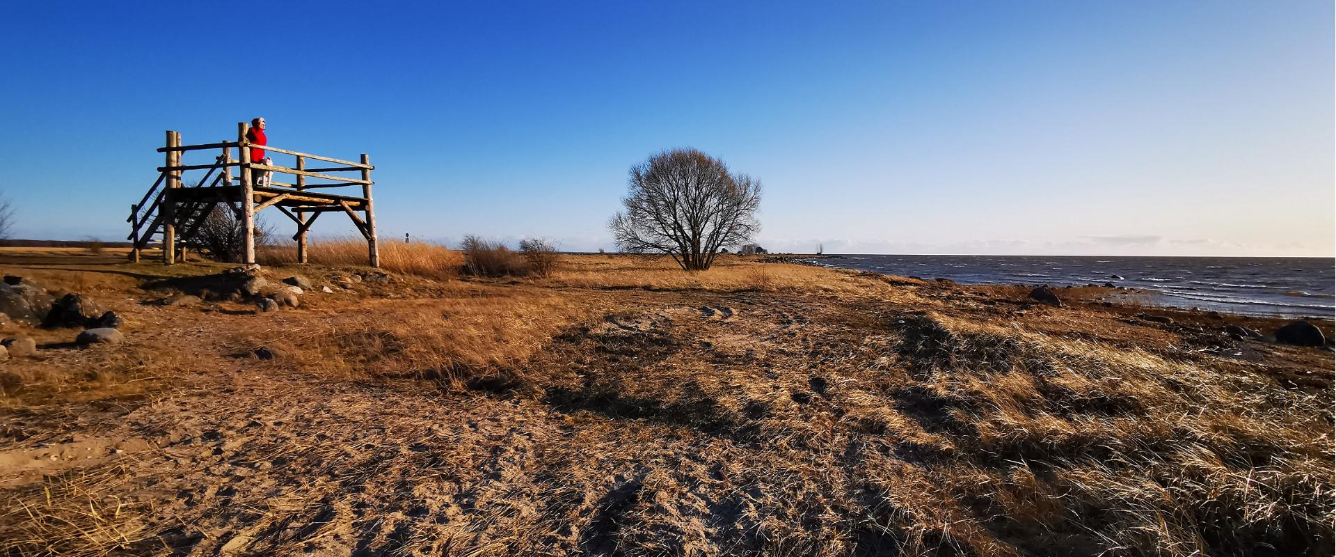 Birdwatching towers near the Pikla ponds