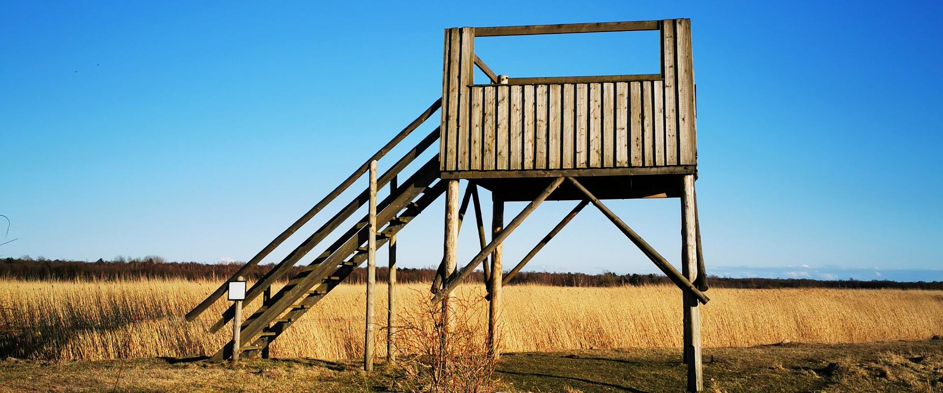 Birdwatching towers near the Pikla ponds