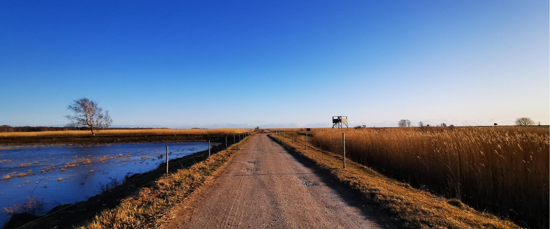 Birdwatching towers near the Pikla ponds