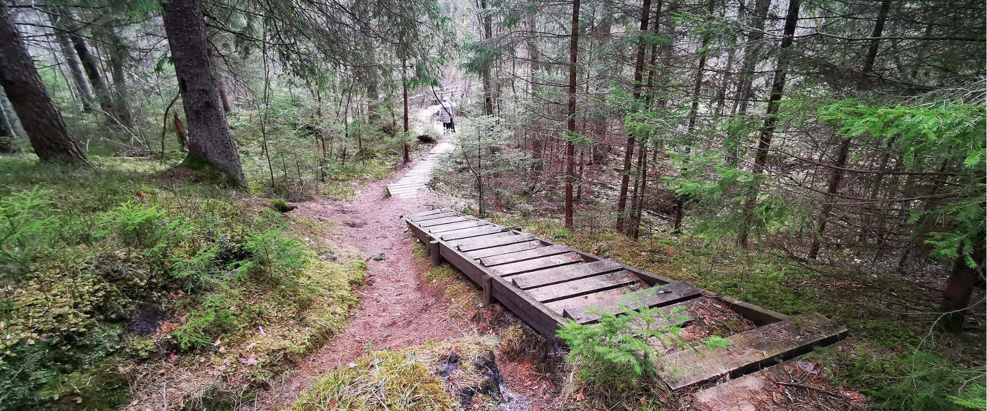 Wanderweg des Staatlichen Forstamtes in Kilingi-Nõmme