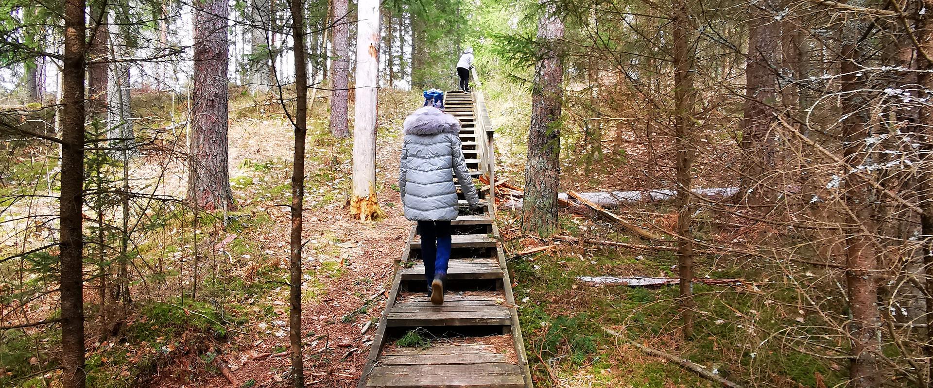 Wanderweg des Staatlichen Forstamtes in Kilingi-Nõmme