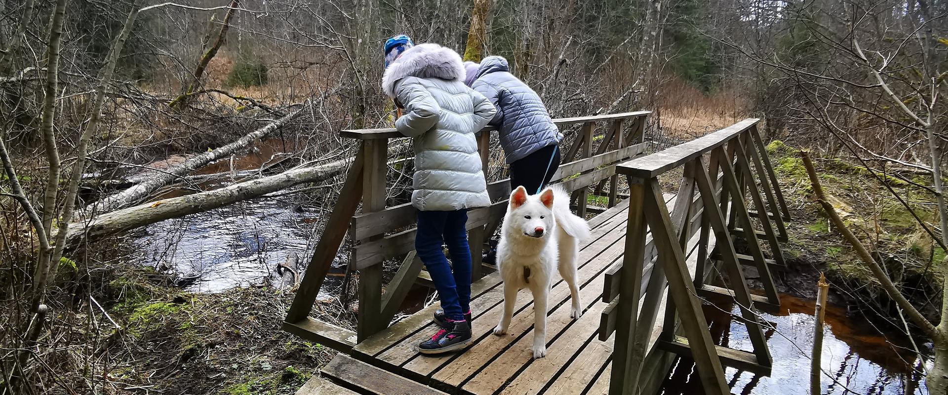 Wanderweg des Staatlichen Forstamtes in Kilingi-Nõmme