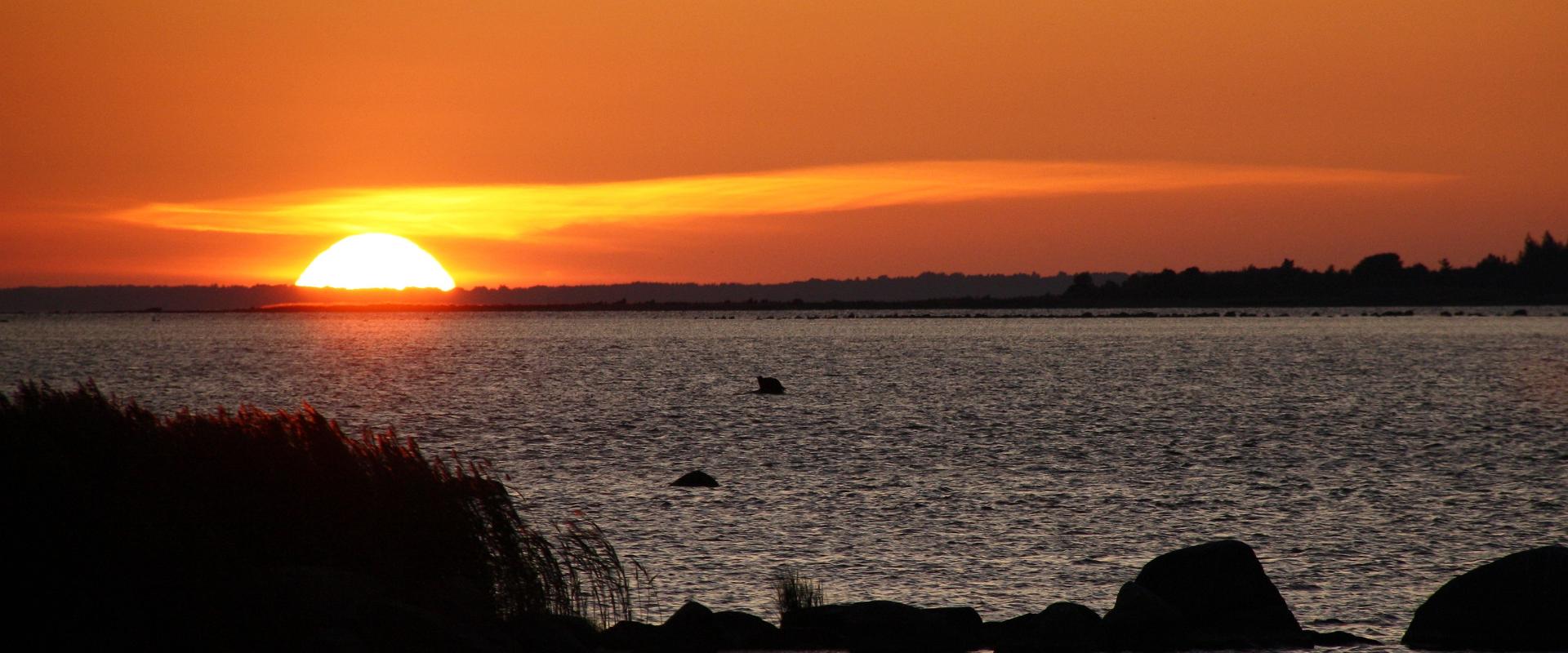 Two-day kayaking trip around the islets of Hiiumaa