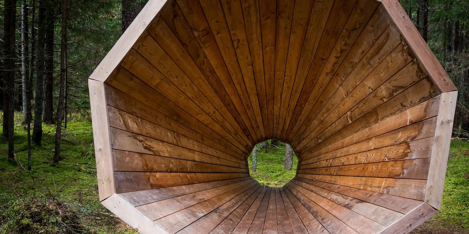 Forest megaphones in Võru County