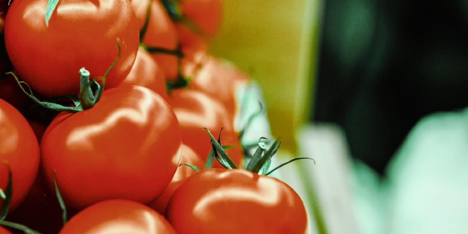 Tartu turuhoone: küpsed tomatid